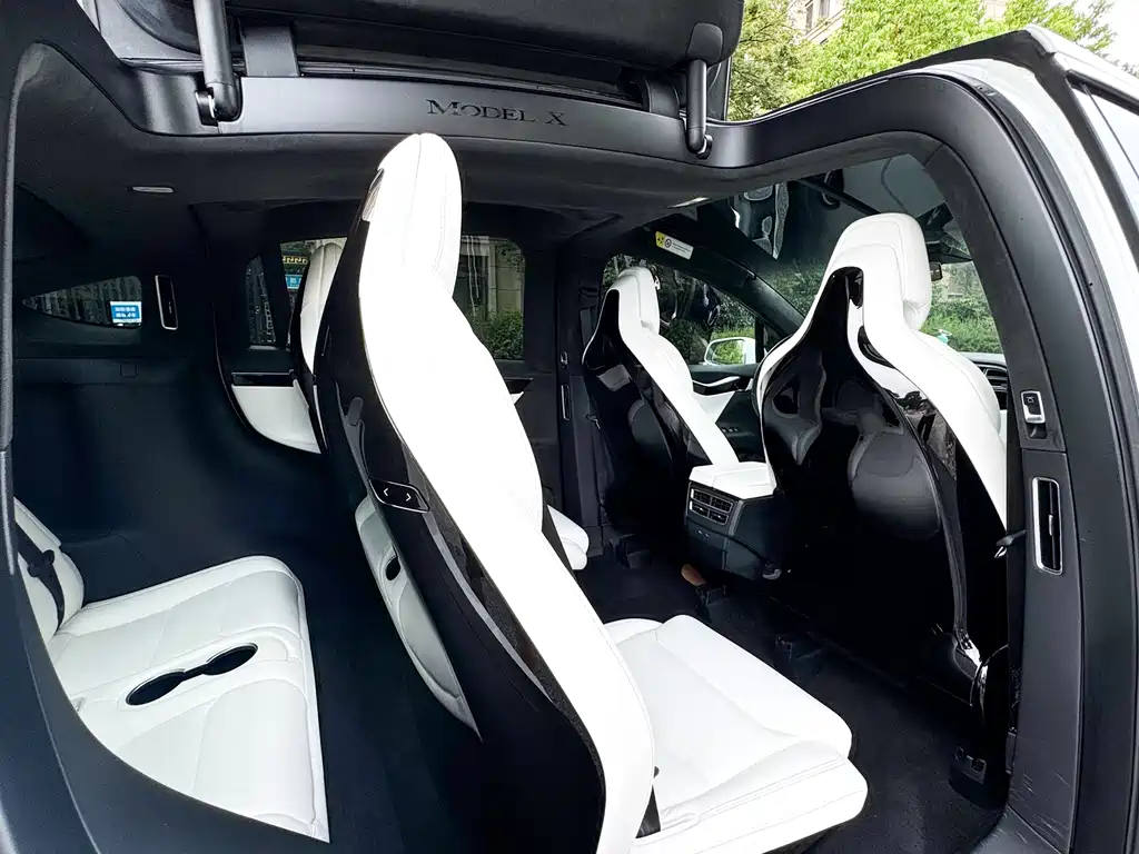Tesla Model X 75D 2017 - thumbnail 13