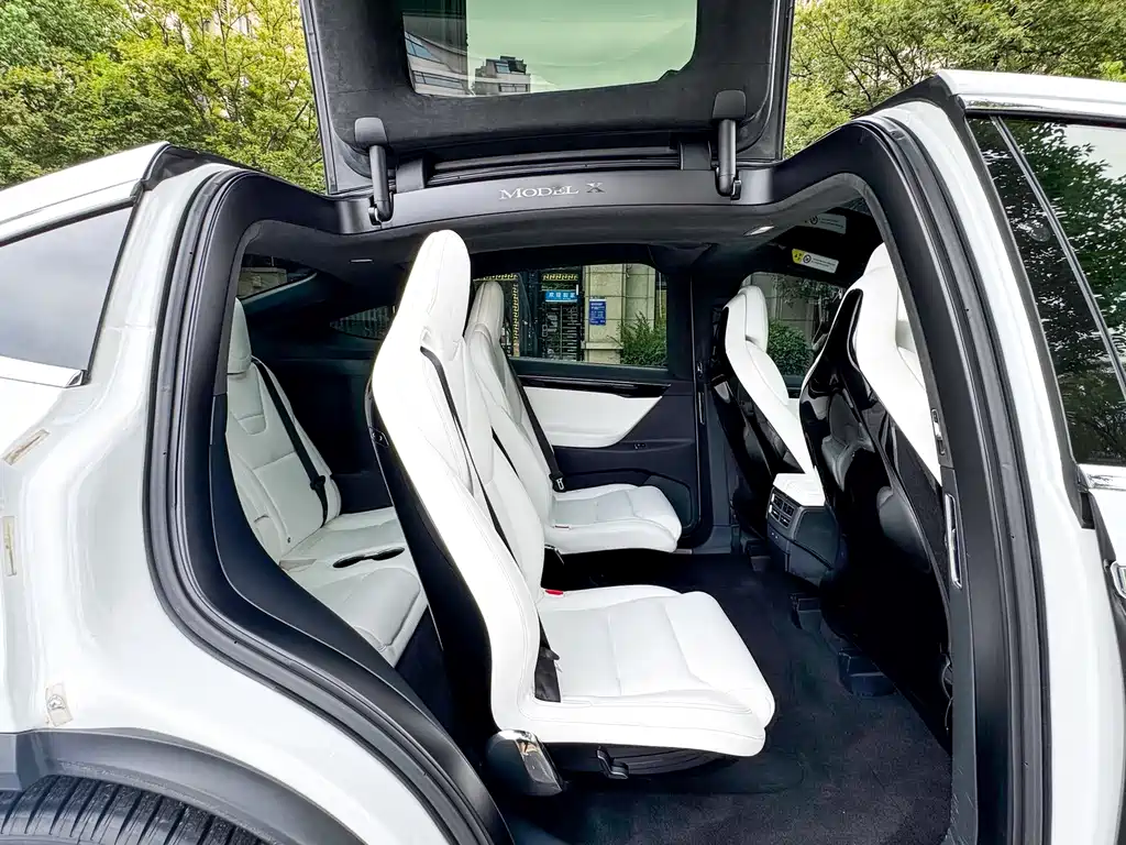 Tesla Model X 75D 2017 - thumbnail 14
