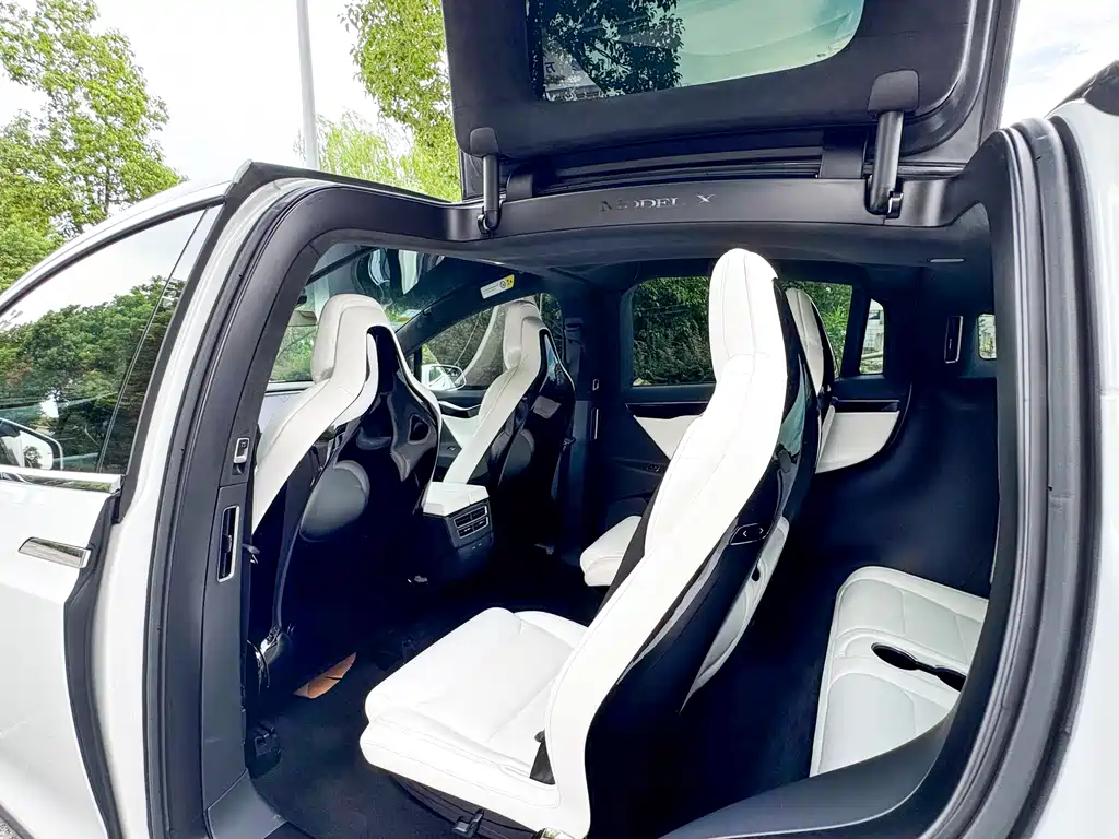 Tesla Model X 75D 2017 - thumbnail 15