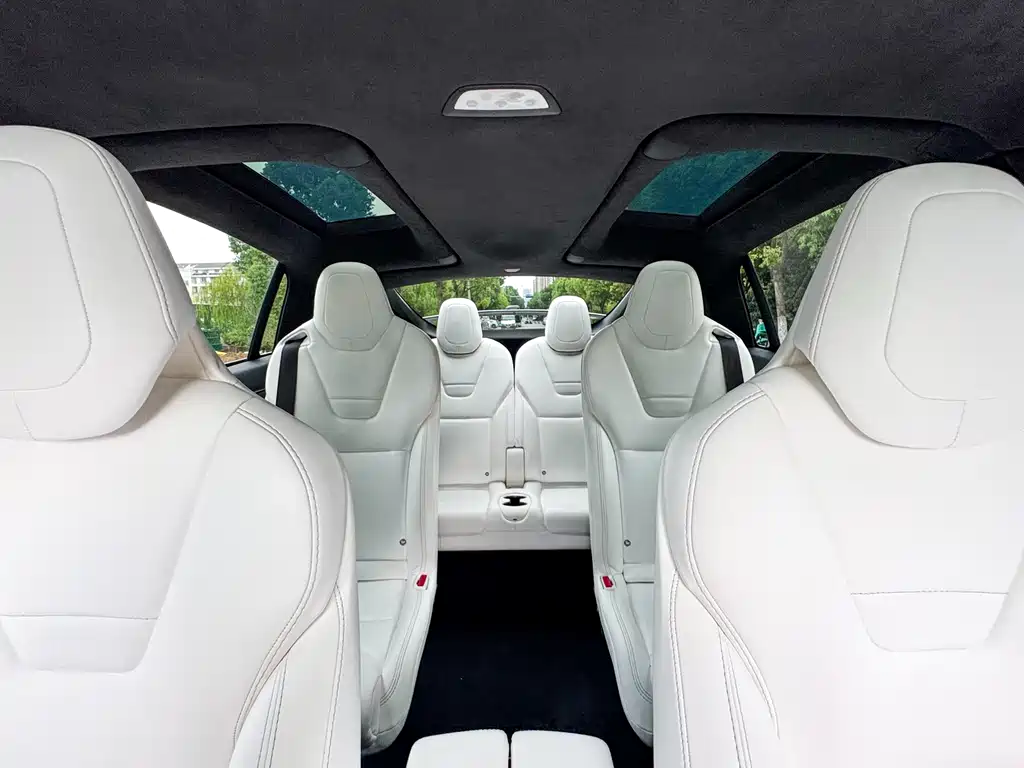 Tesla Model X 75D 2017 - thumbnail 16