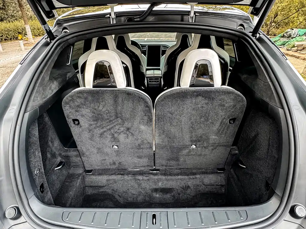 Tesla Model X 75D 2017 - thumbnail 20