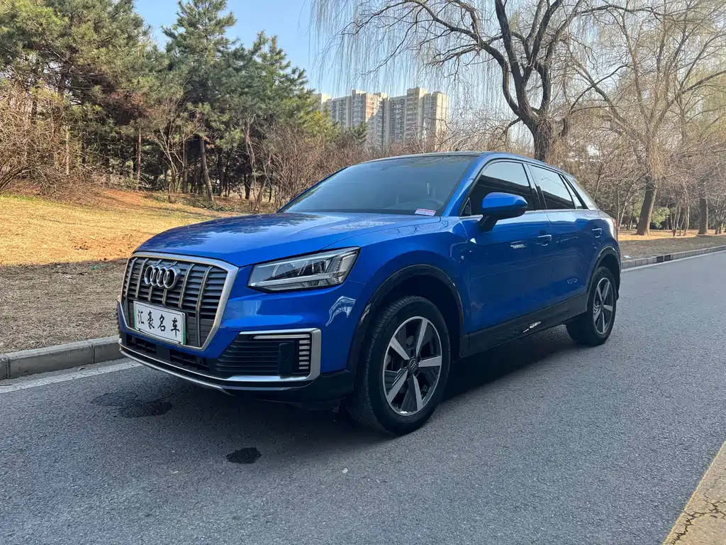 Audi Audi Q2L e-tron 2019 Q2L e-tron Pure Electric Intelligent Enjoyment Edition 2021