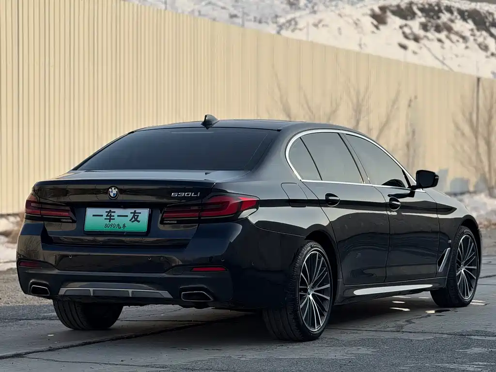 BMW BMW 5 Series 2021 530Li Leading Model M Sport Package 2021 - thumbnail 9