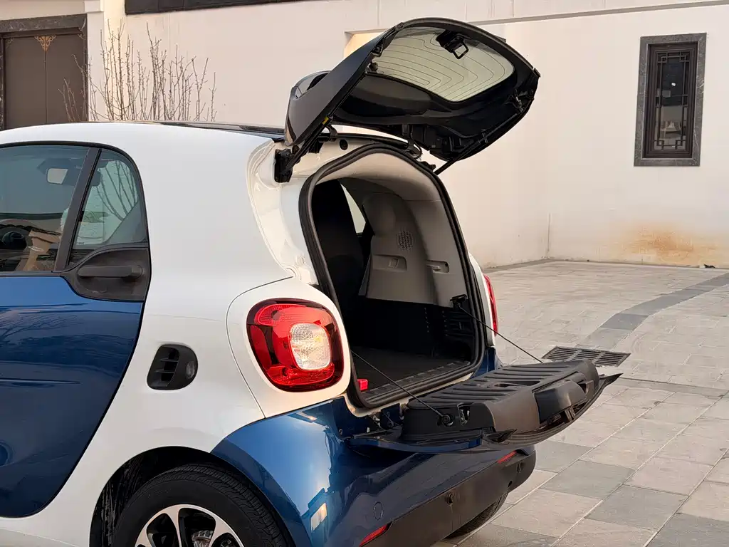 smart smart fortwo 2017 1.0L 52kW Meilan Special Edition国V 2017 - thumbnail 11