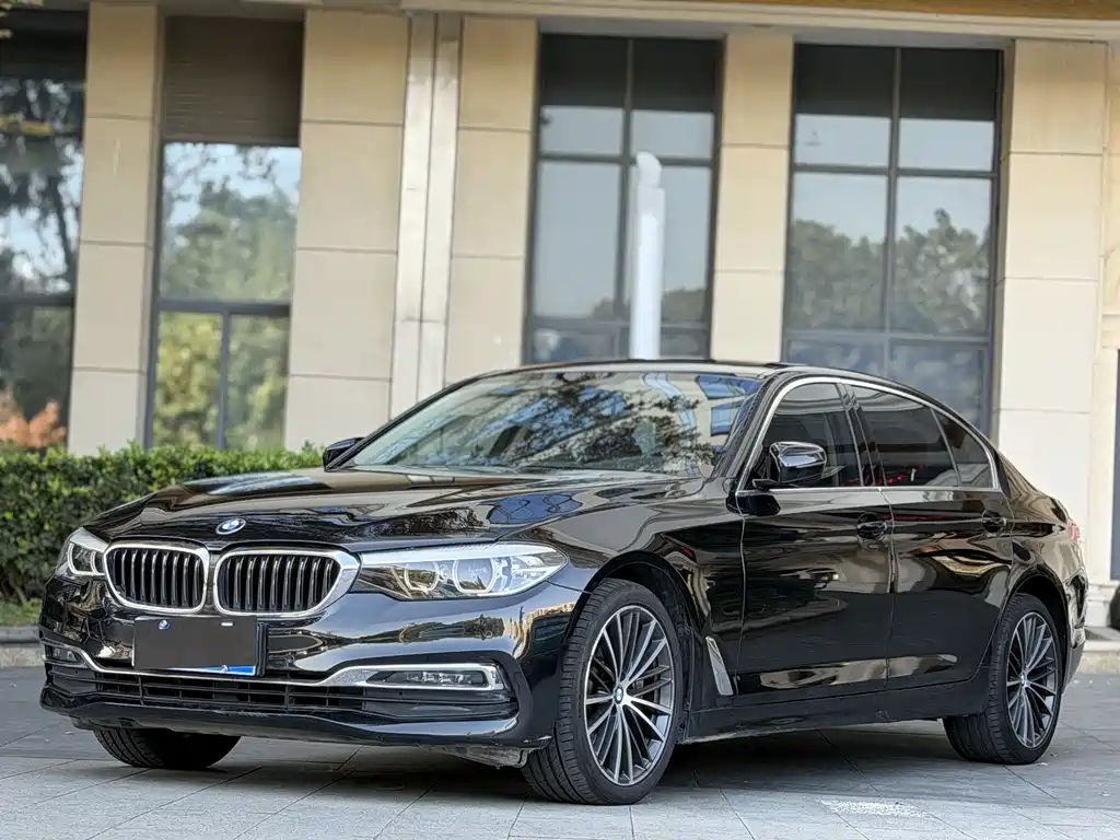 BMW BMW 5 Series 2019 530Li Leading Model Luxury Package 2019 - thumbnail 4