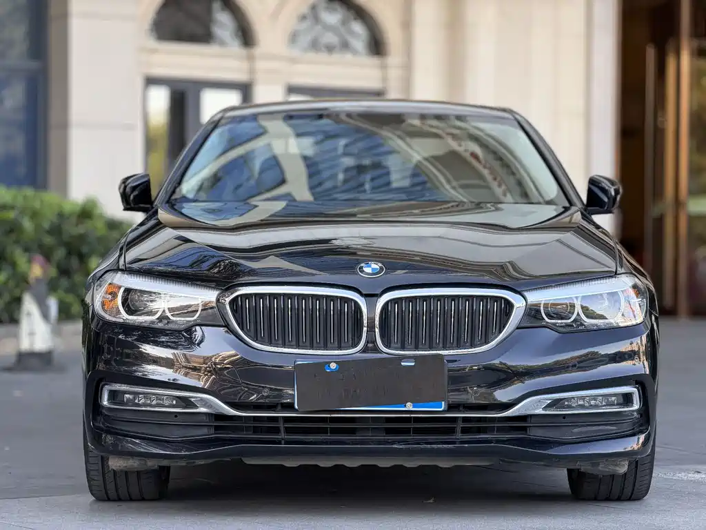 BMW BMW 5 Series 2019 530Li Leading Model Luxury Package 2019 - thumbnail 5