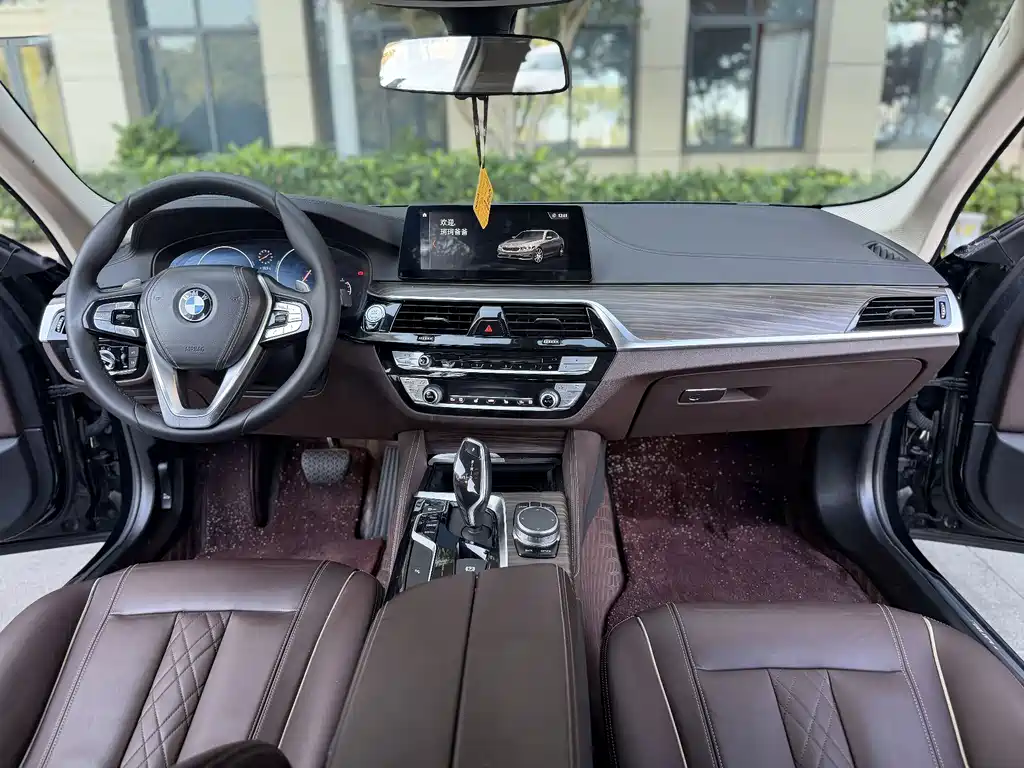 BMW BMW 5 Series 2019 530Li Leading Model Luxury Package 2019 - thumbnail 6
