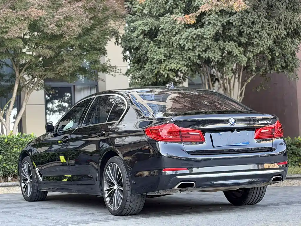 BMW BMW 5 Series 2019 530Li Leading Model Luxury Package 2019 - thumbnail 13