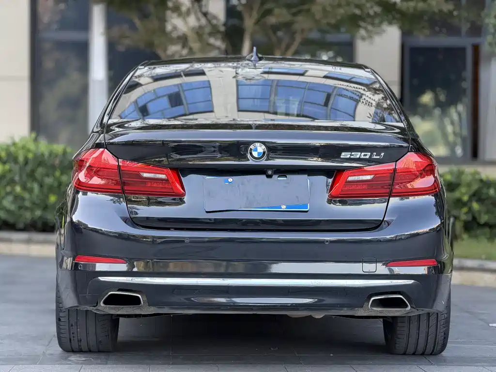 BMW BMW 5 Series 2019 530Li Leading Model Luxury Package 2019 - thumbnail 15