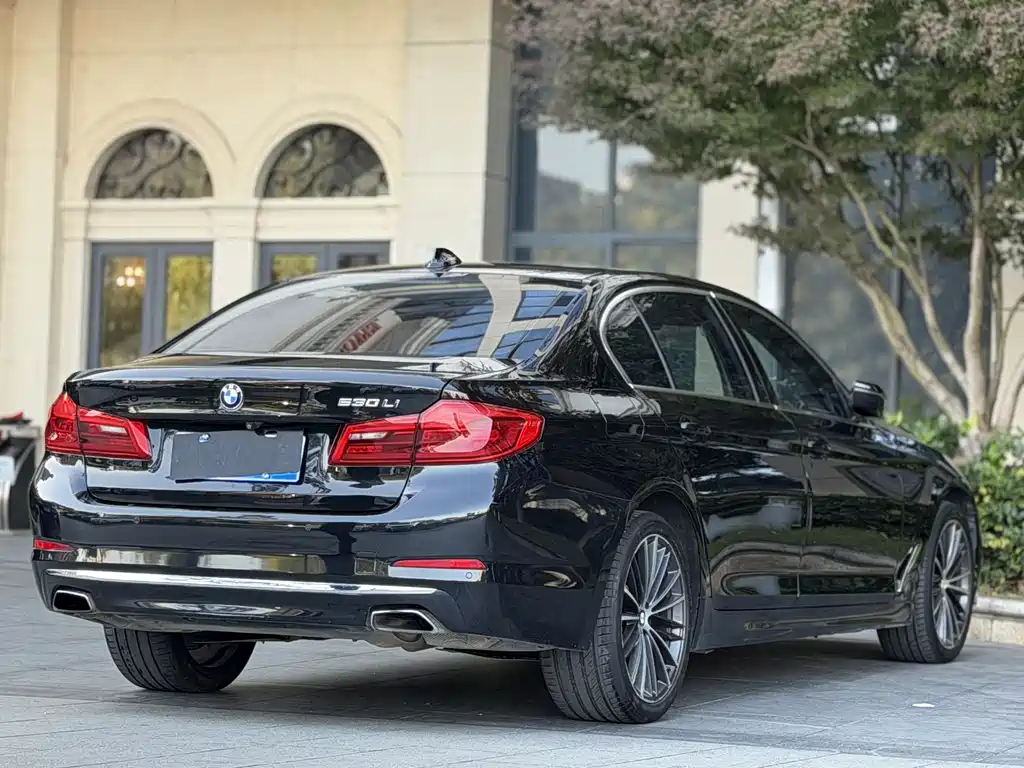 BMW BMW 5 Series 2019 530Li Leading Model Luxury Package 2019 - thumbnail 16