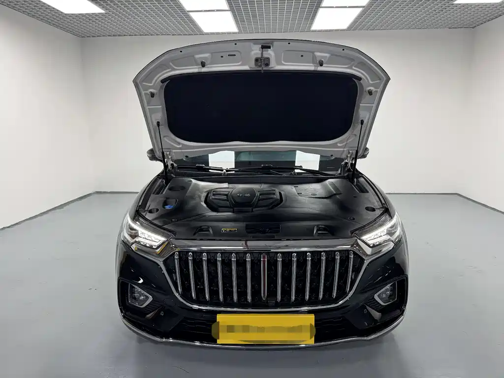 Hongqi Hongqi HS5 2022 Model Year Facelift 2.0T Smart Connect Flag Enjoy Edition 2022 - thumbnail 15