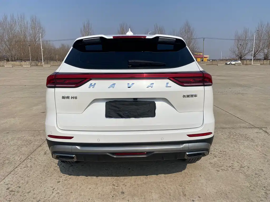 Haval Haval H6 2021 Guochao Edition 1.5T Automatic Champion Edition 2022 - thumbnail 5