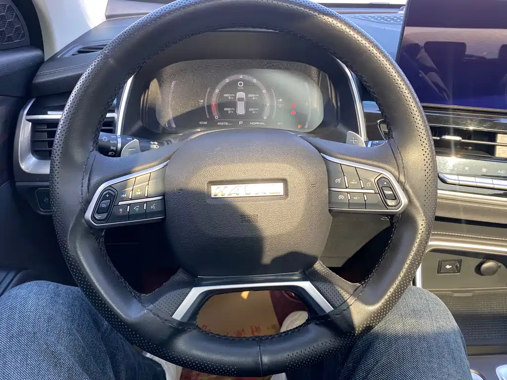 Haval Haval H6 2021 Guochao Edition 1.5T Automatic Champion Edition 2022 - thumbnail 9