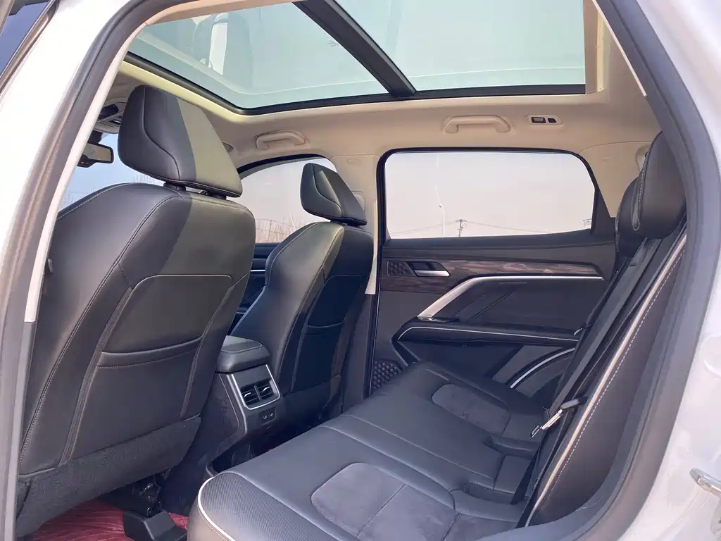 Haval Haval H6 2021 Guochao Edition 1.5T Automatic Champion Edition 2022 - thumbnail 11