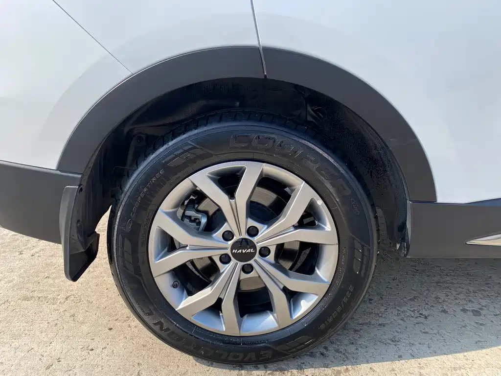Haval Haval H6 2021 Guochao Edition 1.5T Automatic Champion Edition 2022 - thumbnail 23