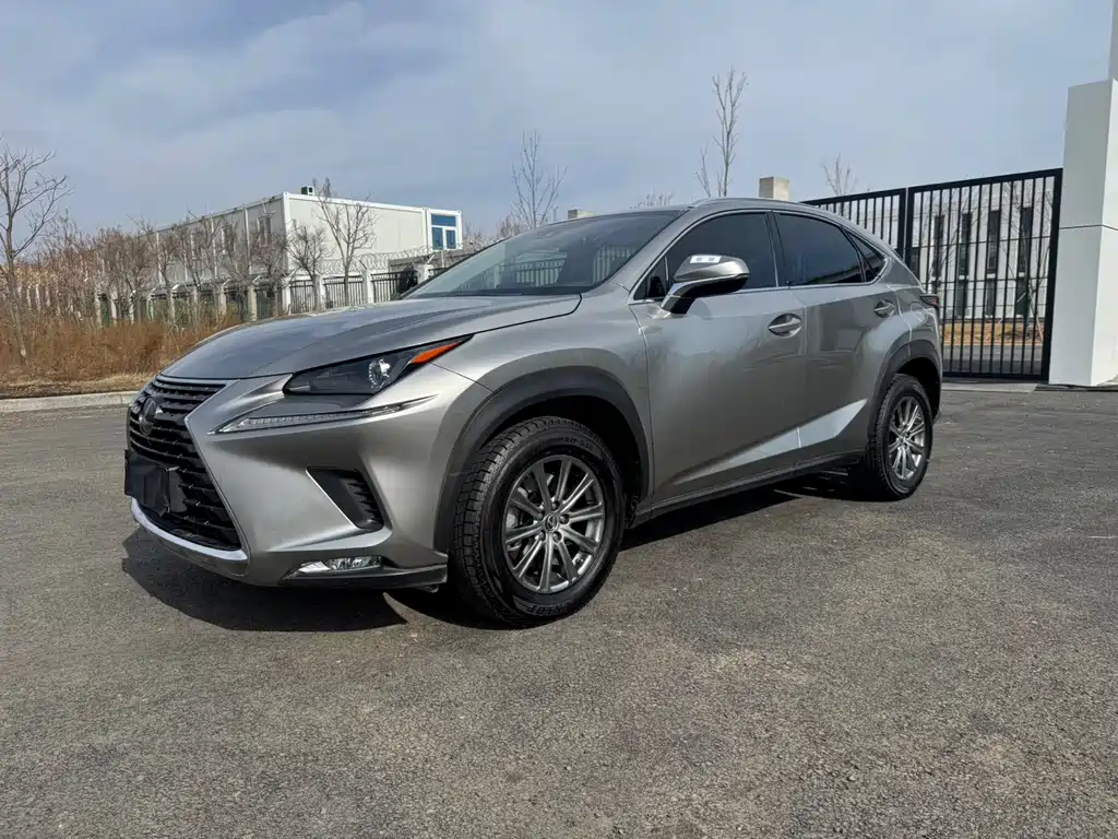 Lexus Lexus NX 200 F Sport AWD 2020 Model V 2021
