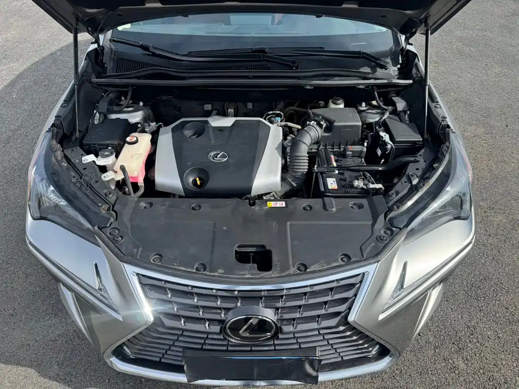 Lexus Lexus NX 200 F Sport AWD 2020 Model V 2021 - thumbnail 23