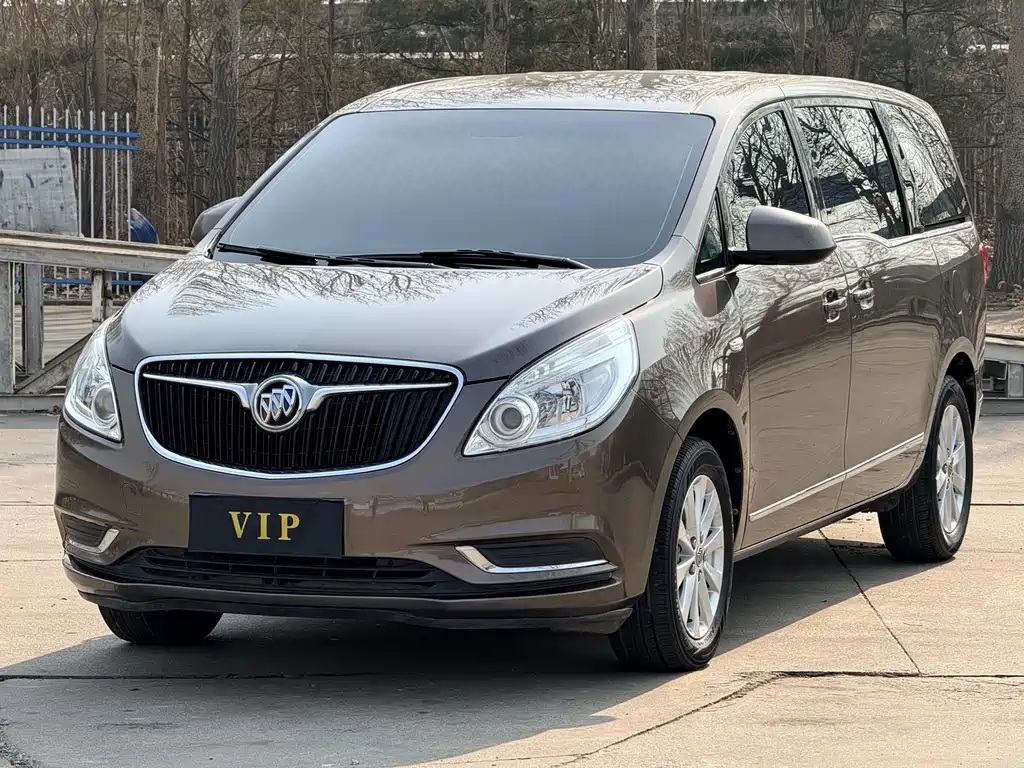 Buick Buick GL8 2017 25S Luxury Edition China V 2019
