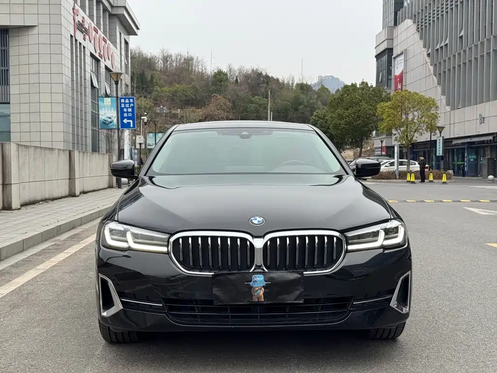 BMW BMW 5 Series 2022 530Li Leading Model Luxury Package 2022 - thumbnail 2