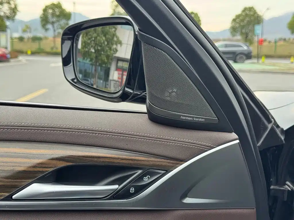 BMW BMW 5 Series 2022 530Li Leading Model Luxury Package 2022 - thumbnail 5