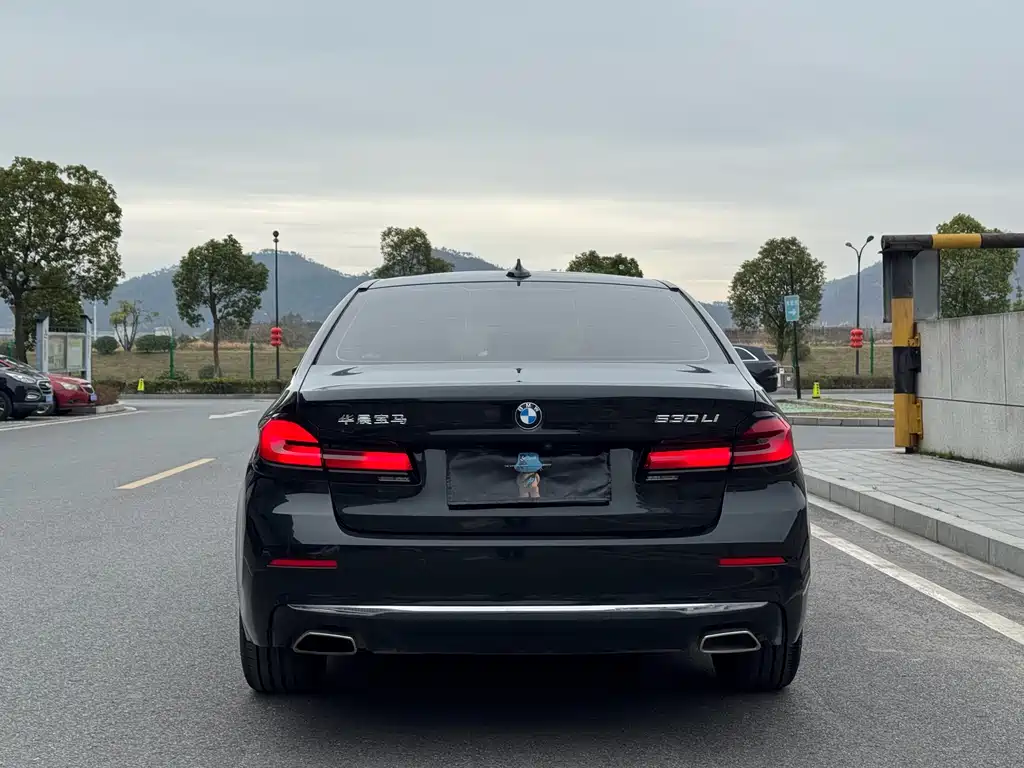 BMW BMW 5 Series 2022 530Li Leading Model Luxury Package 2022 - thumbnail 16
