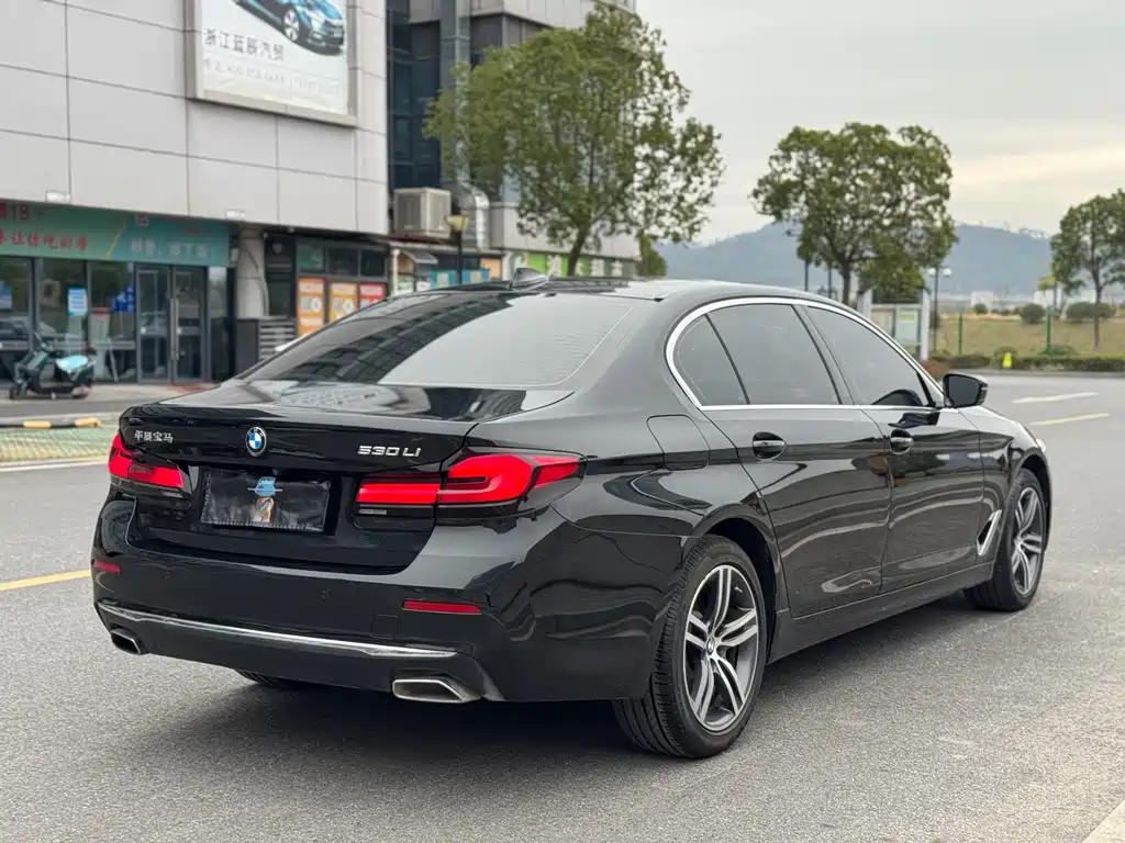 BMW BMW 5 Series 2022 530Li Leading Model Luxury Package 2022 - thumbnail 17