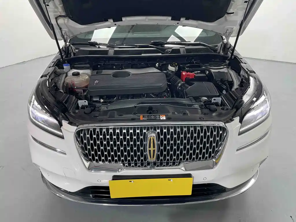 Lincoln Liberator 2021 2.0T Two-Wheel Drive Elegant Edition 2021 - thumbnail 15