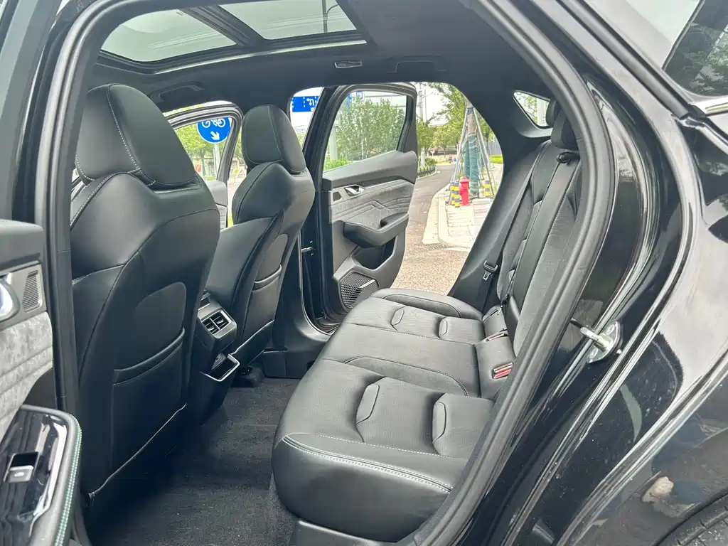 Geely Auto Geely Starray 2024 1.5TD Dragon Edition 2024 - thumbnail 16