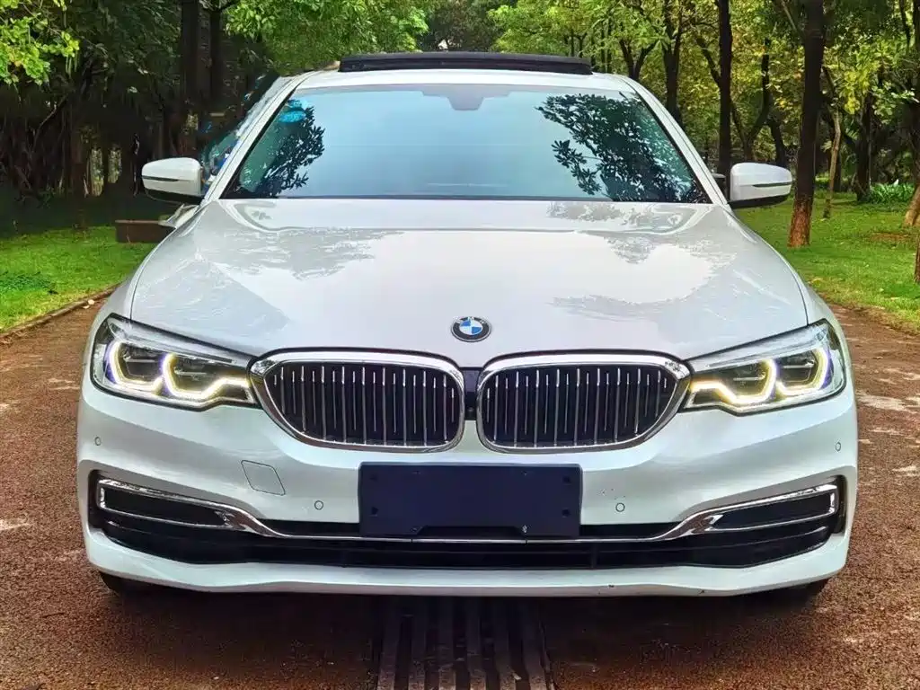 BMW BMW 5 Series 2020 530Li Leading Model Luxury Package 2020 - thumbnail 2