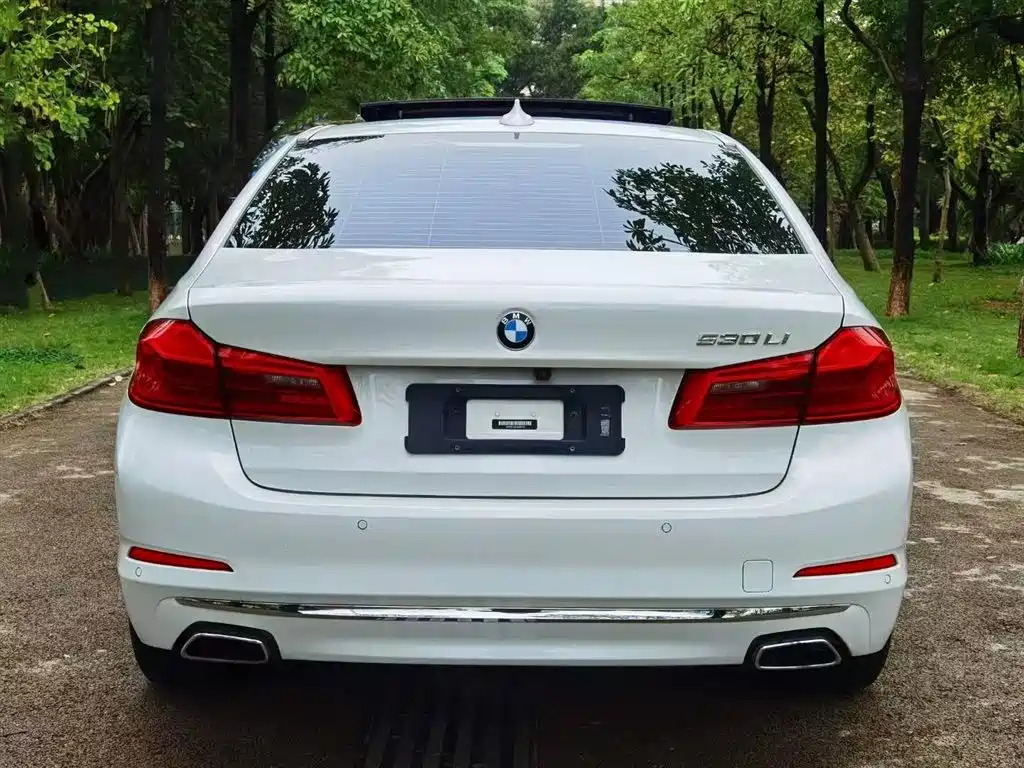 BMW BMW 5 Series 2020 530Li Leading Model Luxury Package 2020 - thumbnail 3