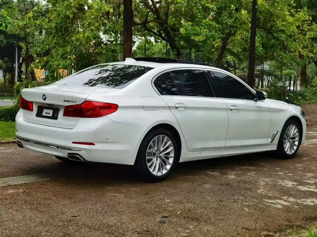 BMW BMW 5 Series 2020 530Li Leading Model Luxury Package 2020 - thumbnail 4