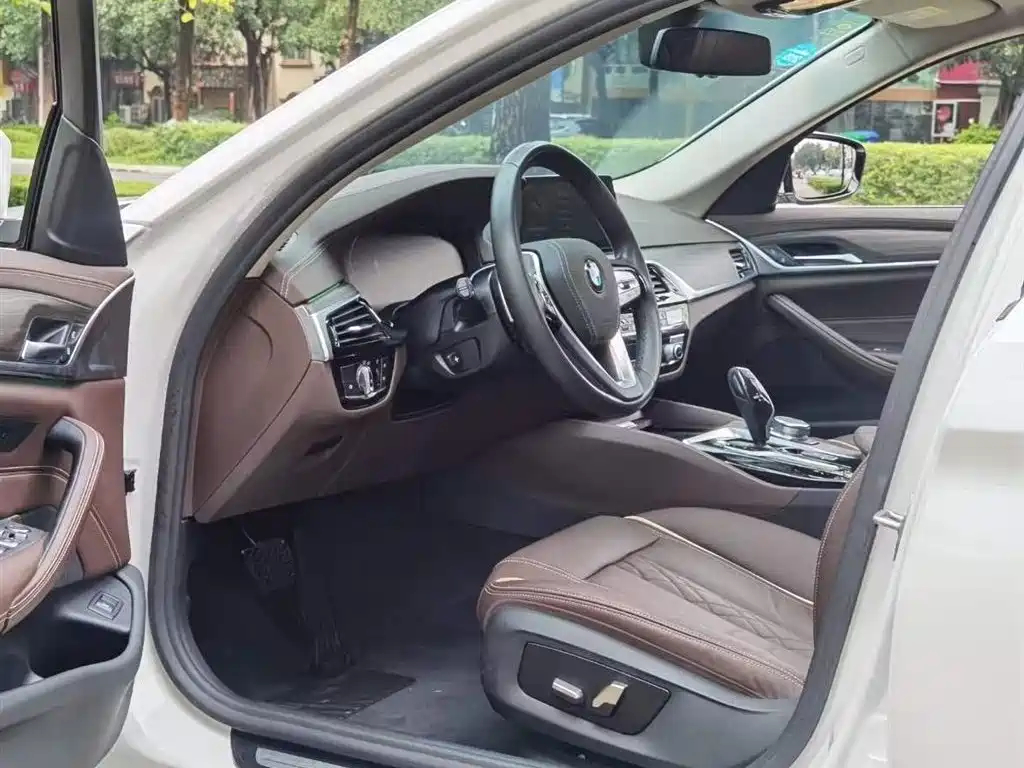 BMW BMW 5 Series 2020 530Li Leading Model Luxury Package 2020 - thumbnail 5