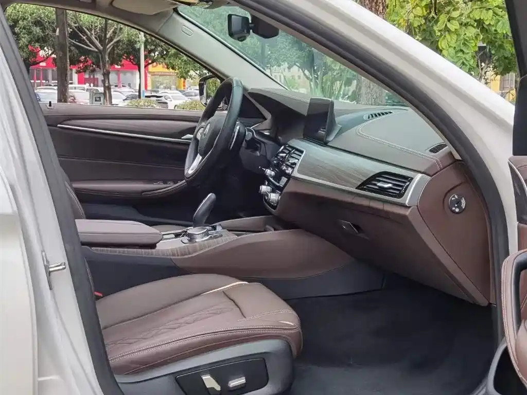 BMW BMW 5 Series 2020 530Li Leading Model Luxury Package 2020 - thumbnail 6