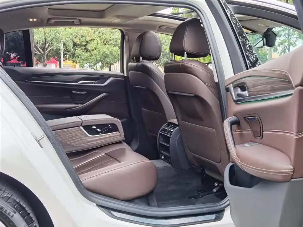 BMW BMW 5 Series 2020 530Li Leading Model Luxury Package 2020 - thumbnail 7