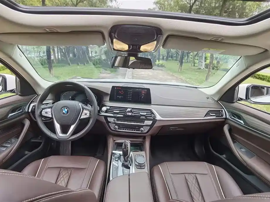 BMW BMW 5 Series 2020 530Li Leading Model Luxury Package 2020 - thumbnail 8