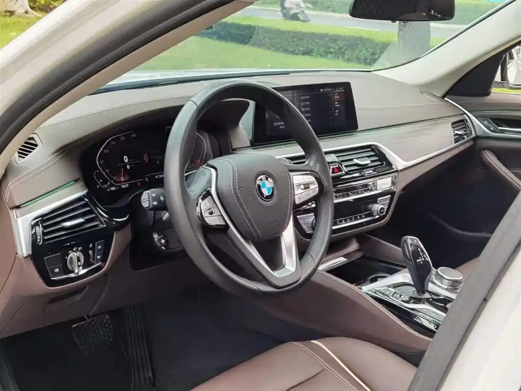 BMW BMW 5 Series 2020 530Li Leading Model Luxury Package 2020 - thumbnail 9