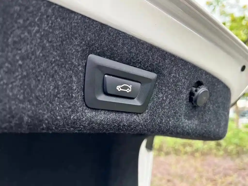 BMW BMW 5 Series 2020 530Li Leading Model Luxury Package 2020 - thumbnail 12
