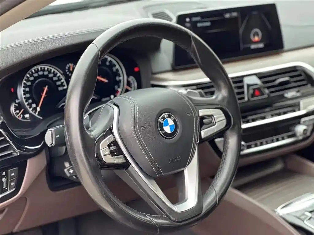 BMW BMW 5 Series 2020 530Li Leading Model Luxury Package 2020 - thumbnail 13
