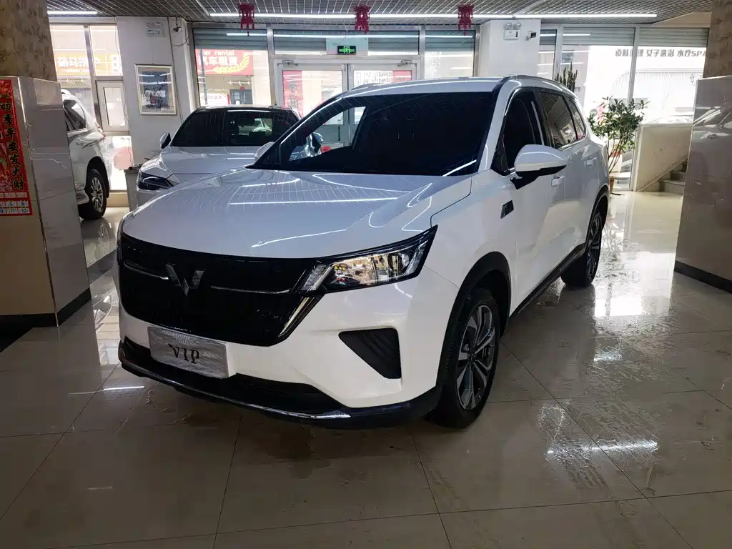 Wuling Motors Wuling Xingchen 2022 2.0L DHT Electric Version 2023