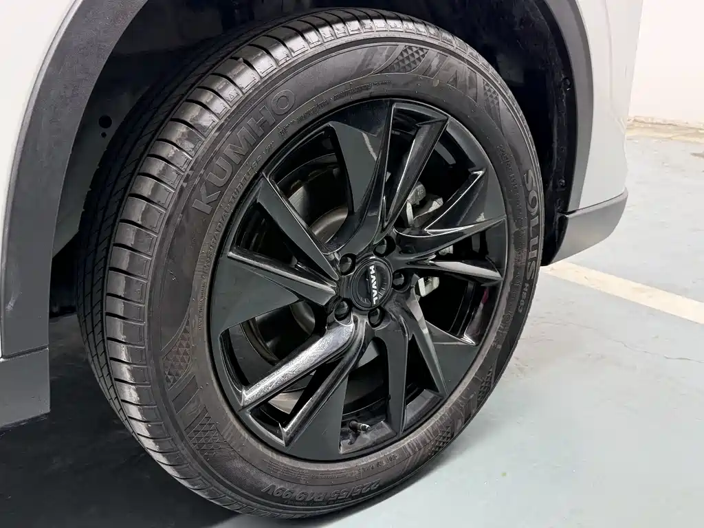 Haval Haval H6 2024 1.5T Two-Wheel Drive Max 2024 - thumbnail 10