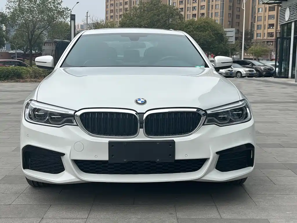 BMW BMW 5 Series 2020 530Li Leading Model M Sport Package 2020 - thumbnail 2