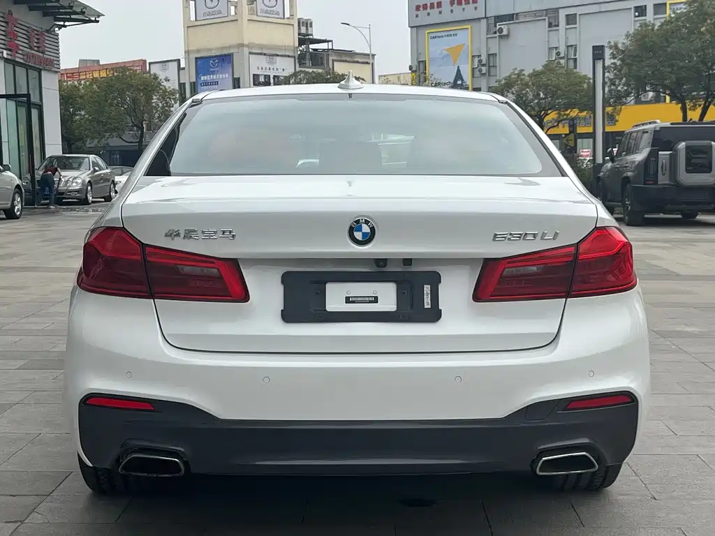 BMW BMW 5 Series 2020 530Li Leading Model M Sport Package 2020 - thumbnail 6