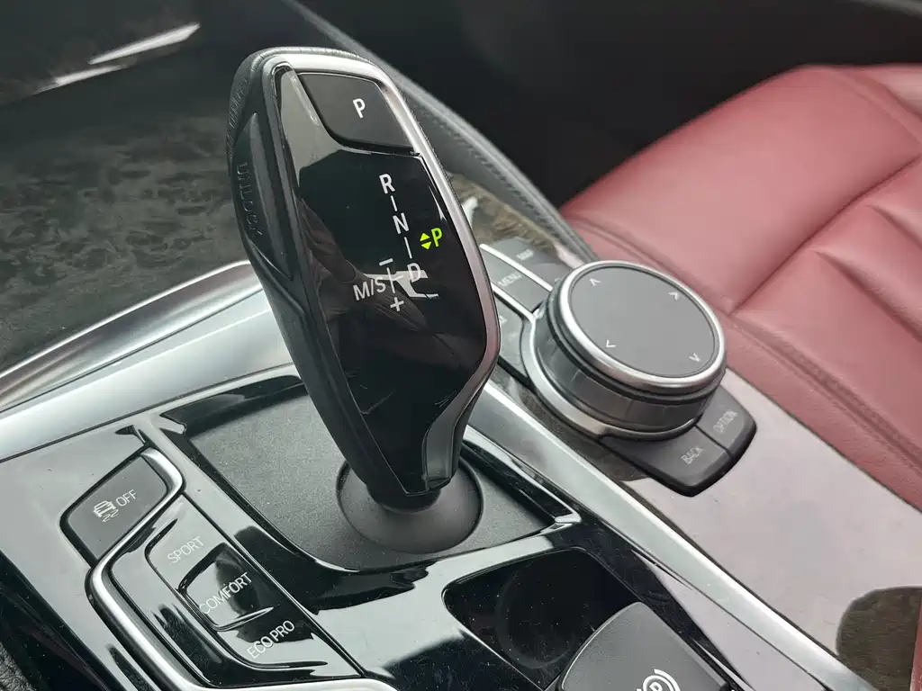 BMW BMW 5 Series 2020 530Li Leading Model M Sport Package 2020 - thumbnail 21