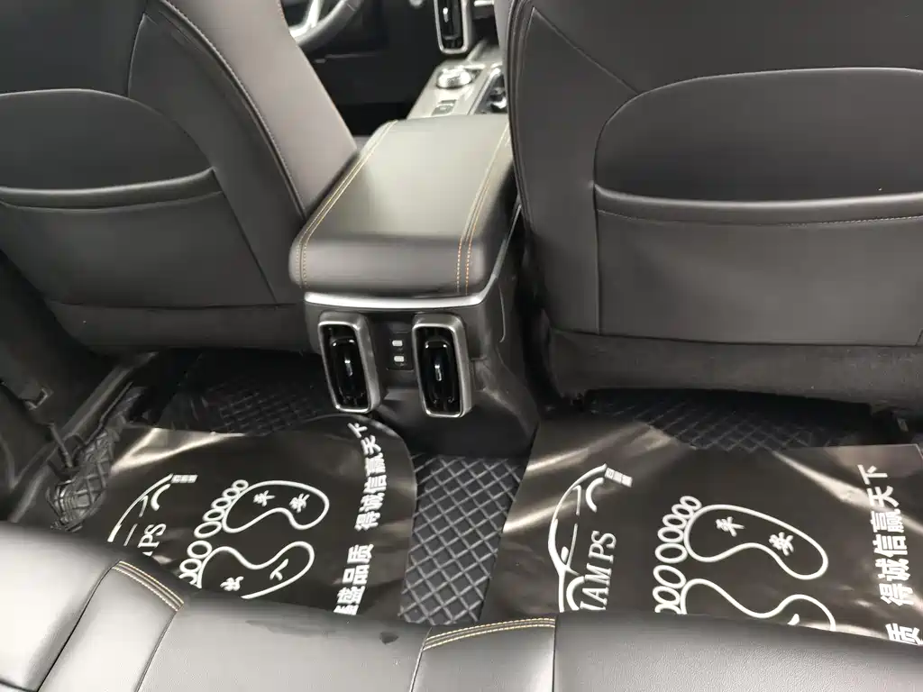 Haval Haval Big Dog 2024 2.0T DCT Chinese Rural Dog Edition 2024 - thumbnail 6