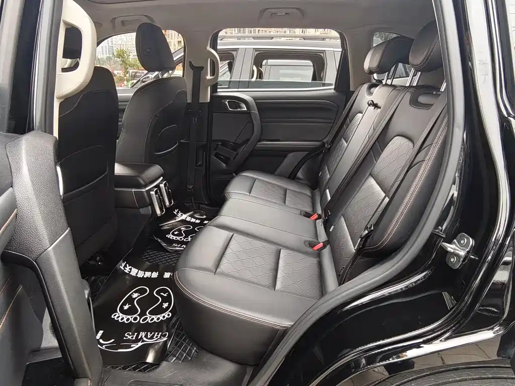 Haval Haval Big Dog 2024 2.0T DCT Chinese Rural Dog Edition 2024 - thumbnail 9