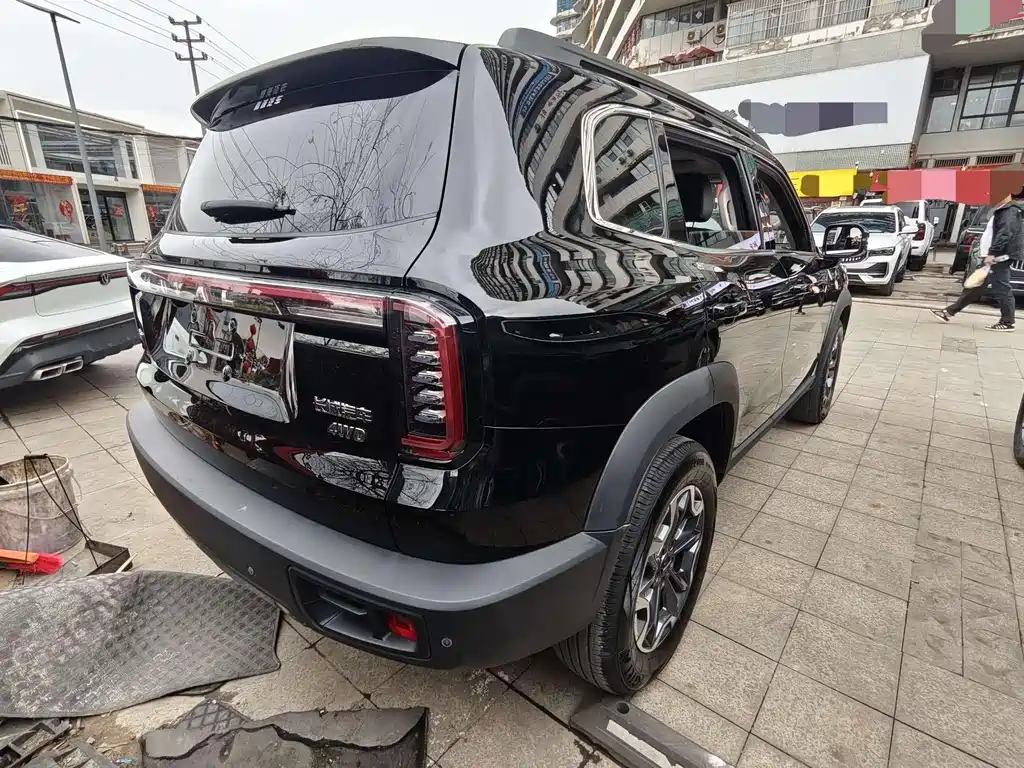 Haval Haval Big Dog 2024 2.0T DCT Chinese Rural Dog Edition 2024 - thumbnail 10