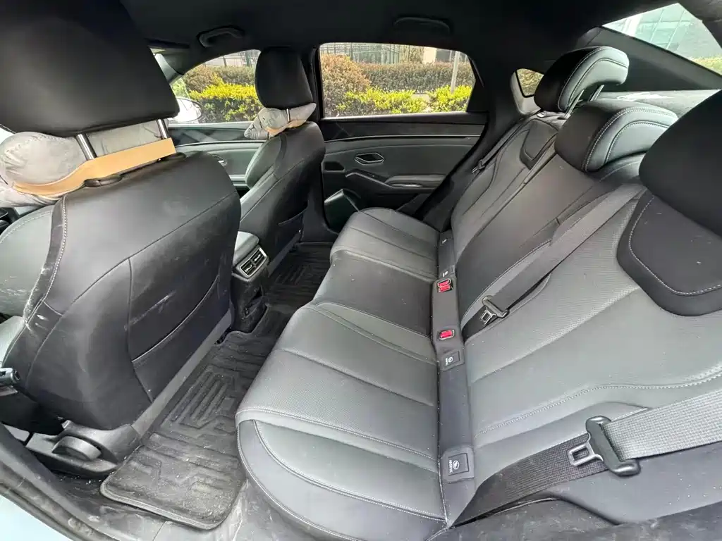 BYD BYD Qin L 2024 DM-i 80KM Leading Edition 2024 - thumbnail 10