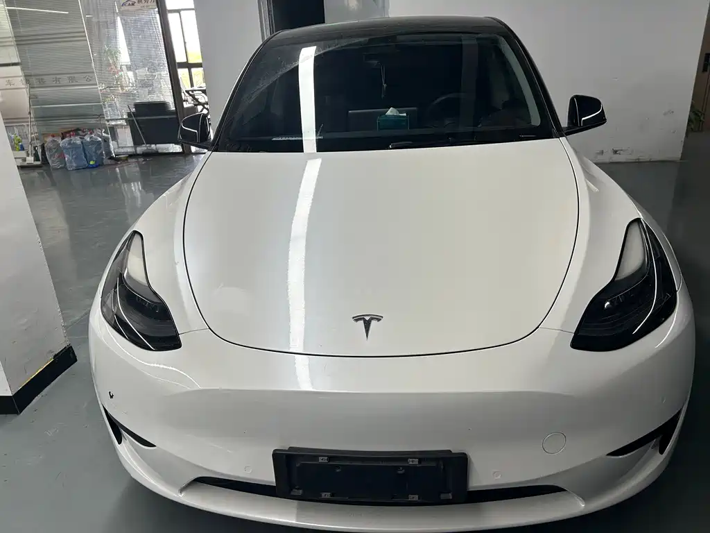 Tesla Model Y 2022 Rear-Wheel Drive Version 2022 - thumbnail 2
