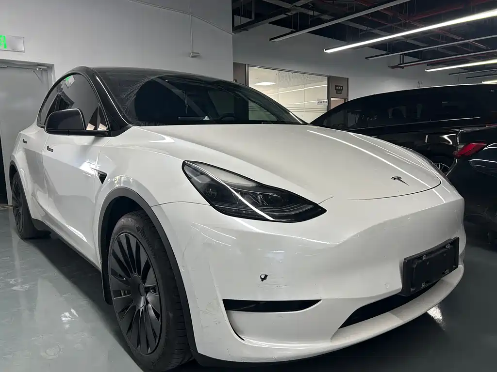 Tesla Model Y 2022 Rear-Wheel Drive Version 2022 - thumbnail 3
