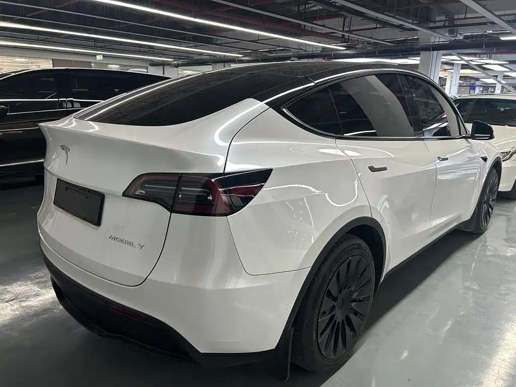 Tesla Model Y 2022 Rear-Wheel Drive Version 2022 - thumbnail 10